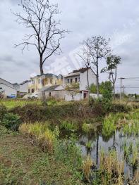 六安霍邱县 9亩 其它耕地 经营权转让