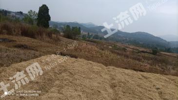 郴州桂阳县 160亩 旱地经营权 转让