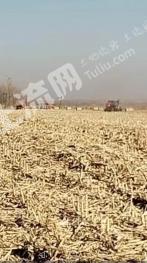 吉林龙潭区 8亩 旱地 转让