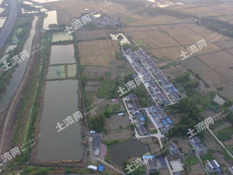 南京六合区 85亩 坑塘水面 经营权出租