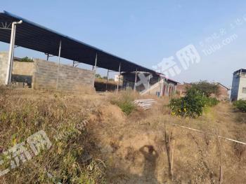 永州道县 67.11亩 果园 经营权转让