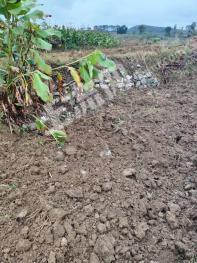 朔州右玉县 3000亩 旱地 出租