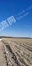 朔州右玉县 5000亩 旱地 经营权出租