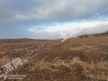 呼伦贝尔鄂伦春自治旗1062亩旱地经营权出租