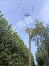 唐山丰南区260亩有林地经营权转让