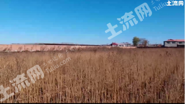 哈尔滨南岗区 72亩 工业用地 使用权转让