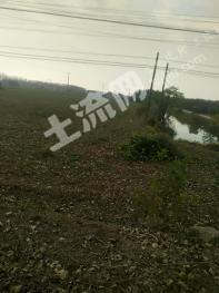 南通启东市 500亩 水浇地 经营权出租