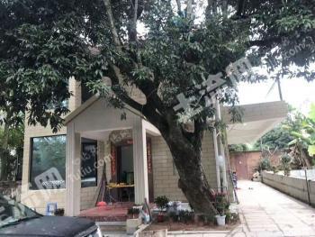 漳州漳浦县 15亩 有林地 经营权转让