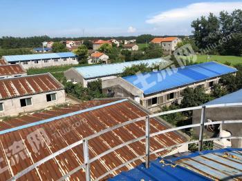 荆州公安县84.57亩畜牧养殖用地经营权转让