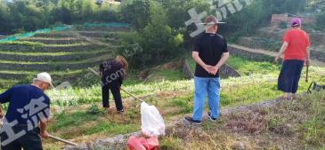 台州温岭市 200亩 水浇地 经营权出租