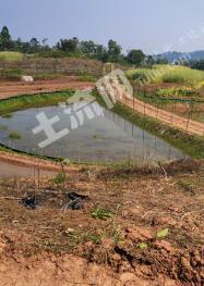 重庆荣昌区 20亩 果园 经营权出租