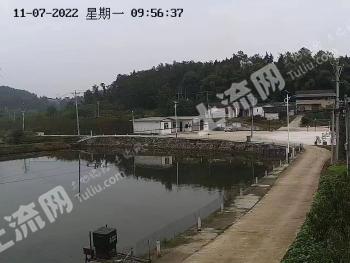 绵阳游仙区 12亩 坑塘水面 经营权出租