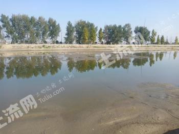 盐城东台市 121亩 坑塘 经营权转让