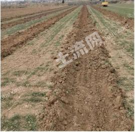 巴音郭楞若羌县 14.3亩 水浇地 经营权转让