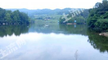 广元昭化区 100亩 水库水面 经营权转让