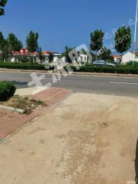 烟台莱山区 1.8亩 果园 经营权转让