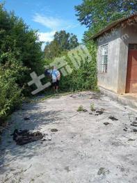 德宏瑞丽市 150亩 其它林地 经营权转包