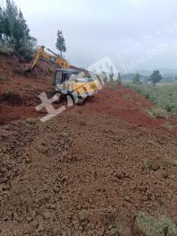 曲靖宣威市 11亩 其它耕地 经营权出租