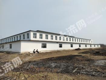 吉林公主岭 55亩 空闲用地 转让