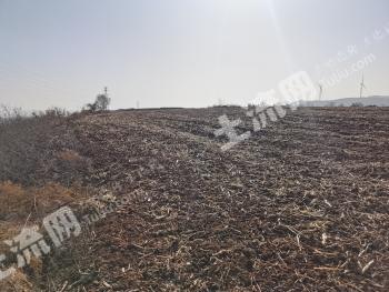 晋城泽州县36.42亩旱地经营权流转