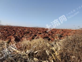 晋城泽州县 50.17亩 旱地 经营权转让