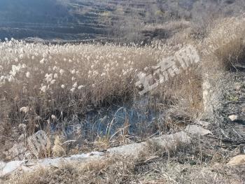 晋城泽州县1.5亩坑塘经营权出租