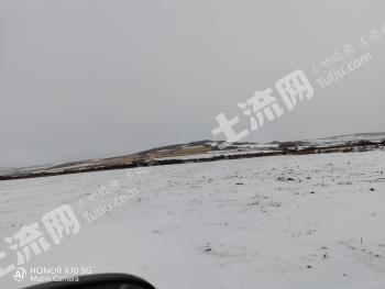 呼伦贝尔鄂伦春自治旗 480亩 旱地 经营权转让