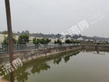 广元昭化区50000平米商业用地 经营权转让