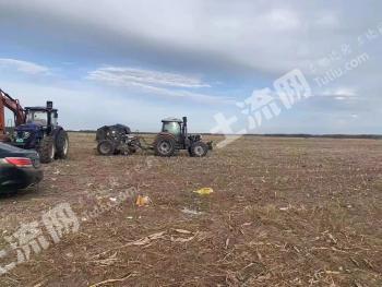 齐齐哈尔依安县 15000亩 旱地 经营权出租