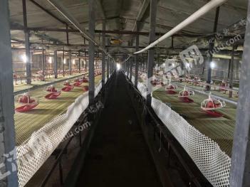 哈尔滨木兰县10.13亩养殖用地-畜牧养殖用地经营权转让