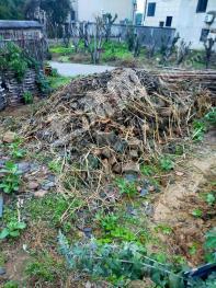 杭州临安区 高虹镇140平米宅基地使用权流转