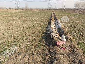 廊坊固安县10.89亩水浇地经营权转让