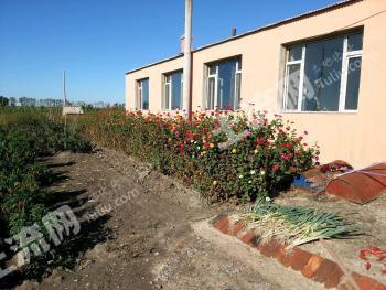 长春农安县47.93亩农场转让