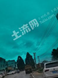 厦门集美区 7亩 水田 经营权出租