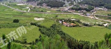 云南保山 105.37亩 旱地 经营权合作