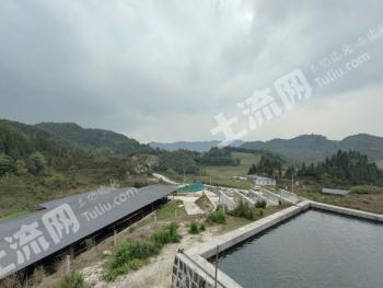 保山腾冲市 942.55亩 人工牧草地 经营权出租