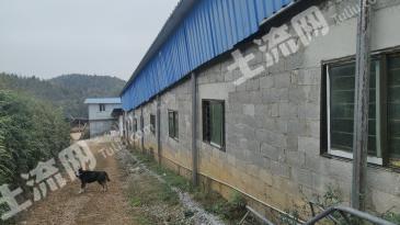 黔西南安龙县 230亩 果园 经营权转包