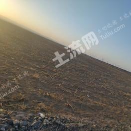 吴忠同心县 11000亩 其它耕地 经营权出租