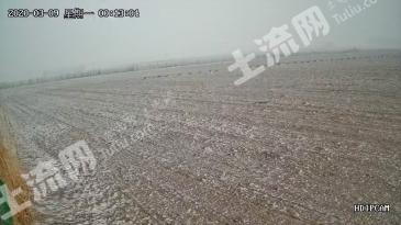 鞍山台安县 195亩 水浇地+林地（种养结合）经营权 转包