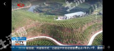 眉山仁寿县 300.33亩 旱地 经营权转让