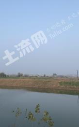 阜阳阜南县 1300亩 旱地 经营权出租