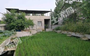 德陽旌陽區(qū) 700平米 農(nóng)村宅基地 使用權(quán)出租