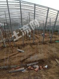 大棚设施用地经营权流转