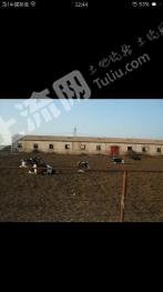 新疆昌吉呼图壁县 55.62亩 畜牧养殖用地 经营权转让