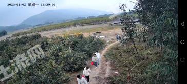 钦州钦北区 28亩果园 经营权转让