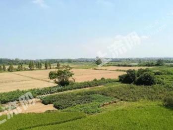 永州双牌县 400平米 农家庭院 使用权出租