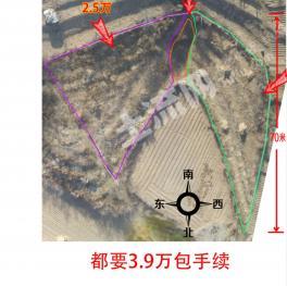 抚顺顺城区 3.52亩 果园经营权转包