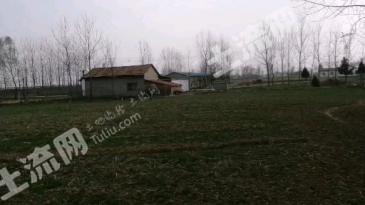 信阳固始县 104.13亩 人工牧草地 经营权转让