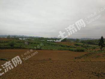 安顺平坝区 100亩 农场 经营权出租