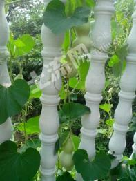 河南平顶山 666平米 农家庭院使用权 出租